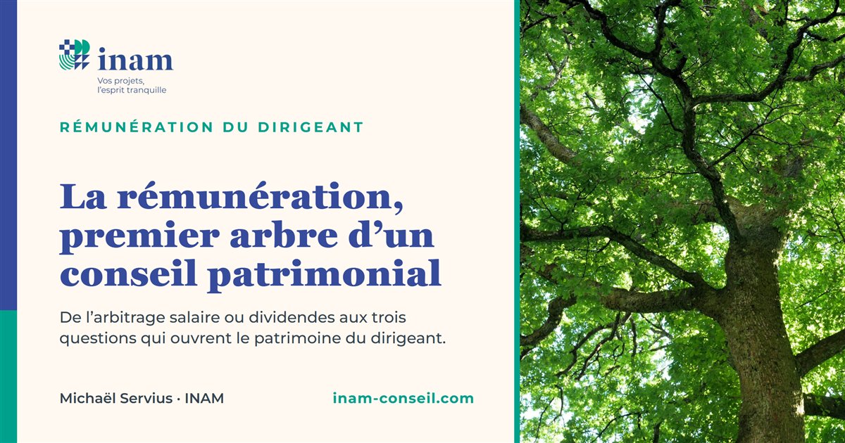 Un chêne vu d'en dessous, branches déployées : la rémunération, premier arbre d'un conseil patrimonial